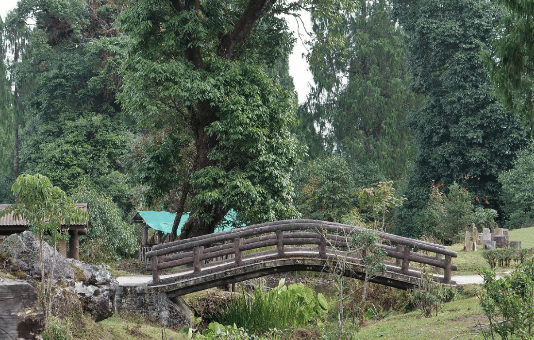 Royal Botanical Garden